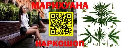 гидропоника Будённовск