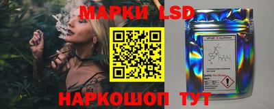 гидропоника Будённовск