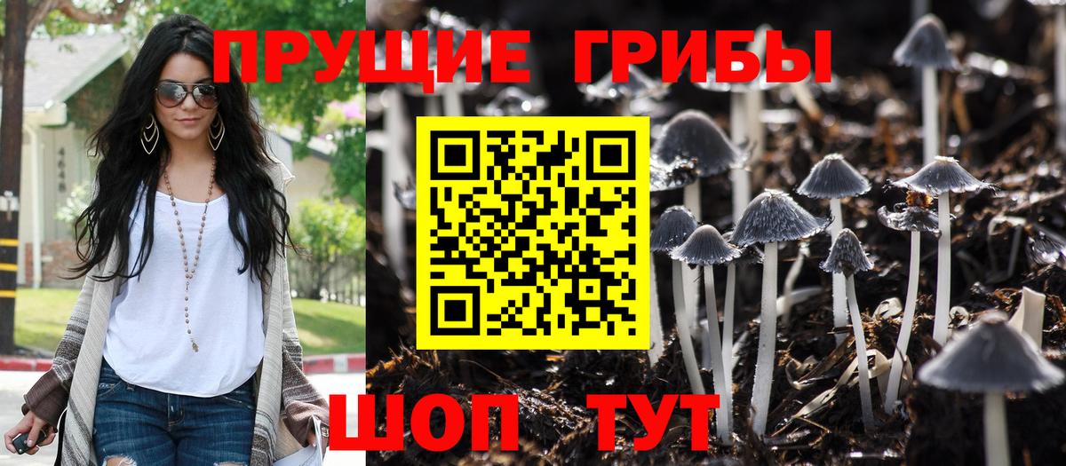 Псилоцибиновые грибы Cubensis Семёнов